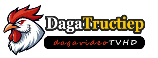 XiN88|Thomo đấu gà trực tiếp, không quảng cáo, không trễ, đấu gà Việt Nam HD C1C2C3C4C5