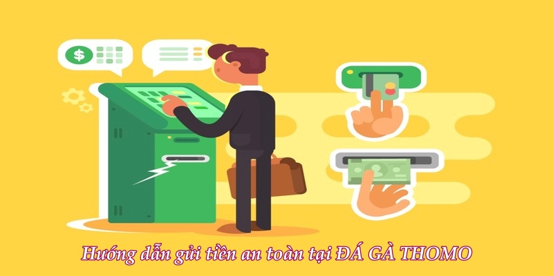 XiN88 đá gà trực tiếp