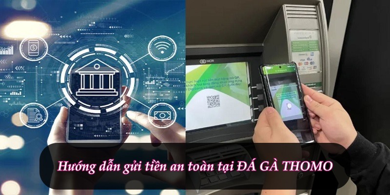 XiN88 đá gà trực tiếp